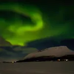 Korppi